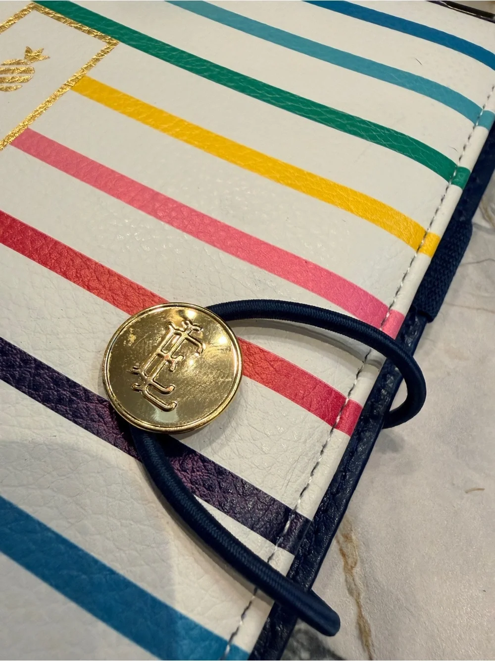 Emily Ley Simplified Planner Binder Multicolor Stripe 2016 Gold Hardware
